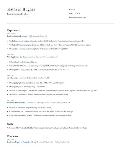 Lead Application Developer Resume