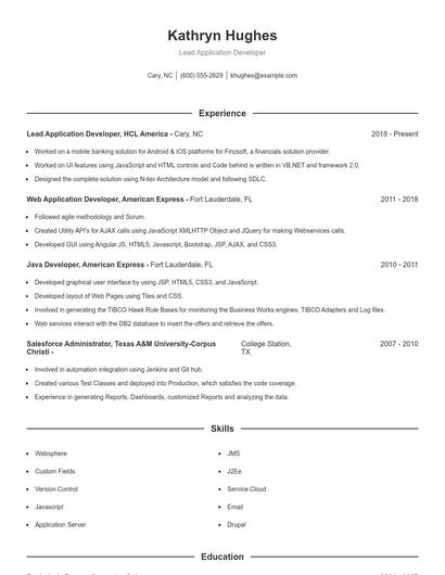 Lead Application Developer Resume
