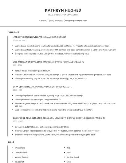 Lead Application Developer Resume
