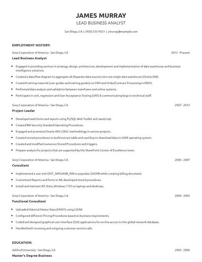Lead Business Analyst Resume