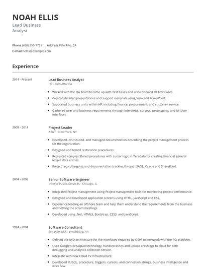 Lead Business Analyst Resume