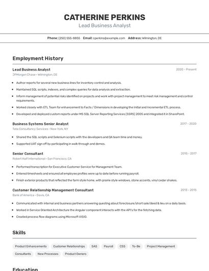 Lead Business Analyst Resume