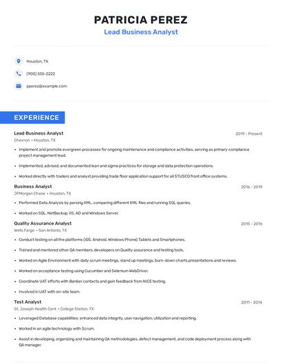 Lead Business Analyst Resume