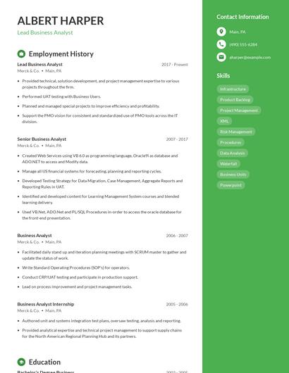 Lead Business Analyst Resume
