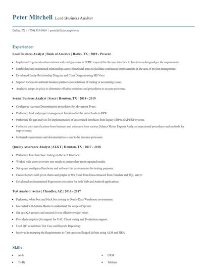 Lead Business Analyst Resume