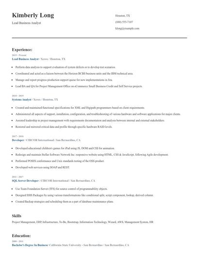 Lead Business Analyst Resume