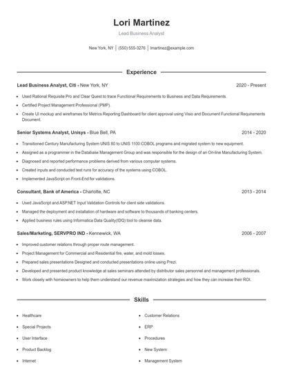 Lead Business Analyst Resume