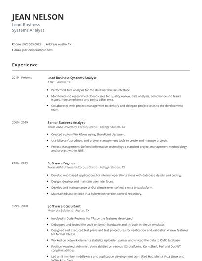 Lead Business Systems Analyst Resume