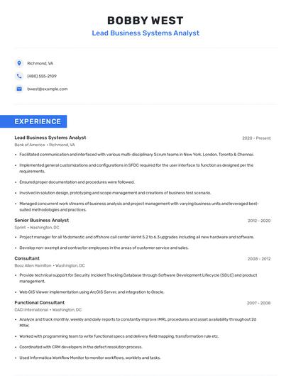 Lead Business Systems Analyst Resume