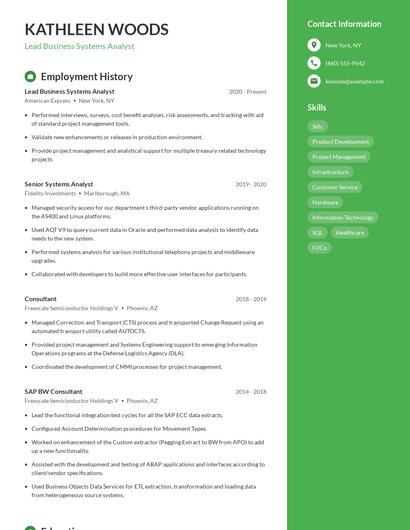 Lead Business Systems Analyst Resume