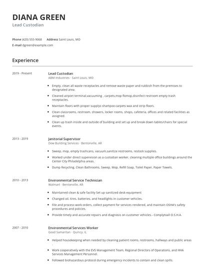 Lead Custodian Resume