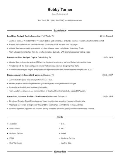 Lead Data Analyst Resume