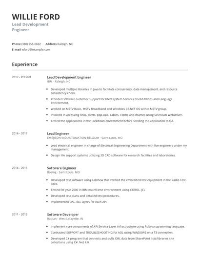 Lead Development Engineer Resume