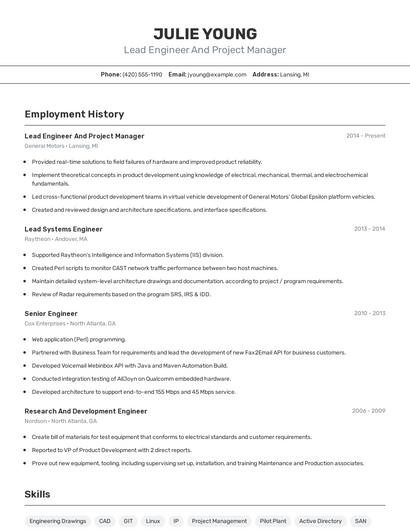 Lead Engineer And Project Manager Resume