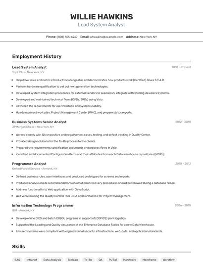 Lead System Analyst Resume