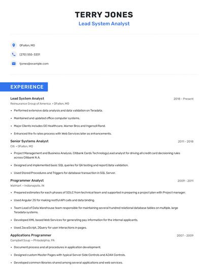 Lead System Analyst Resume