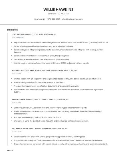 Lead System Analyst Resume