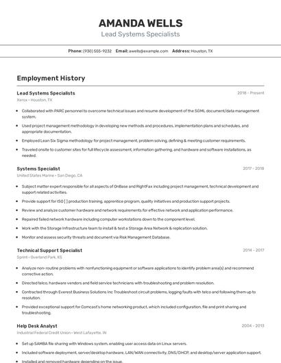 Lead Systems Specialists Resume