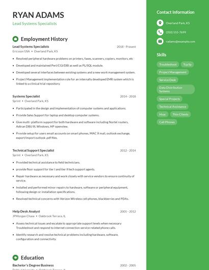 Lead Systems Specialists Resume