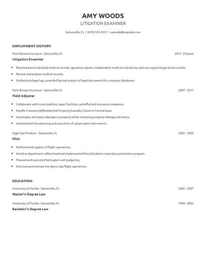 Litigation Examiner Resume