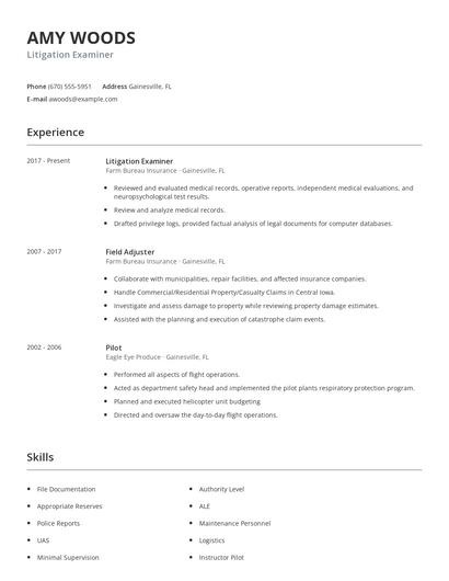 Litigation Examiner Resume