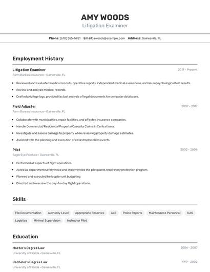 Litigation Examiner Resume