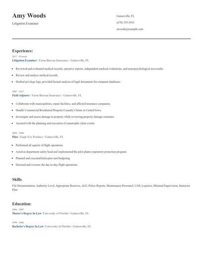 Litigation Examiner Resume