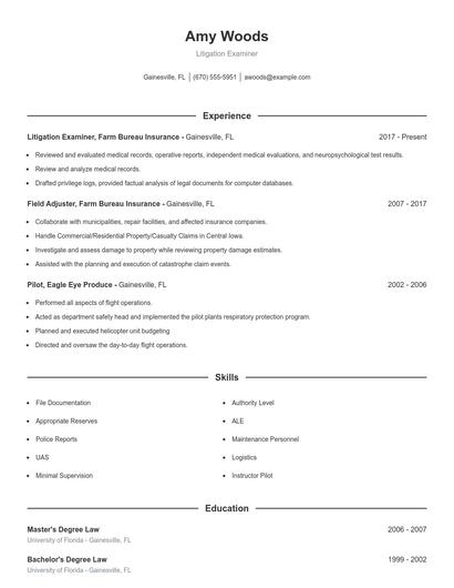 Litigation Examiner Resume