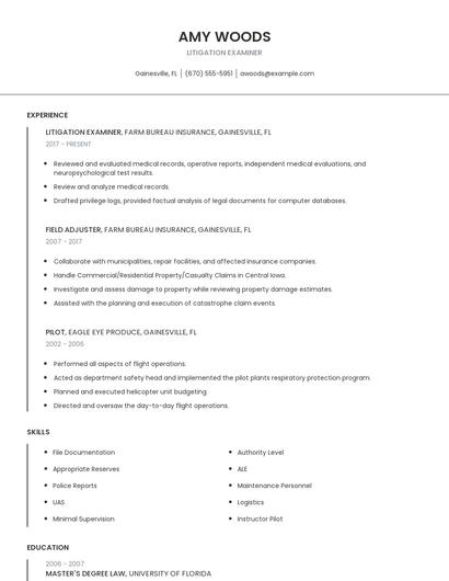Litigation Examiner Resume