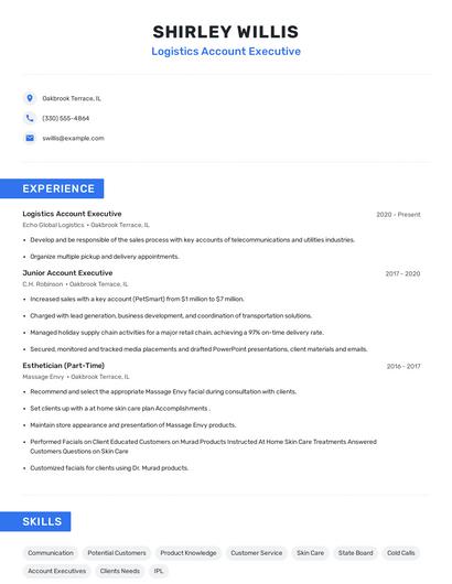 Logistics Account Executive Resume