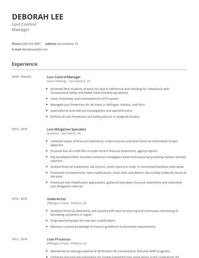 Loss Control Manager Resume