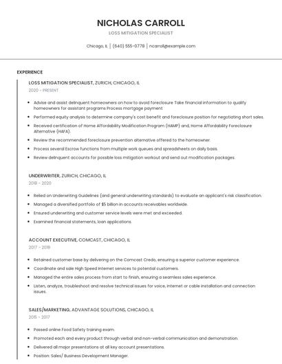 Loss Mitigation Specialist Resume
