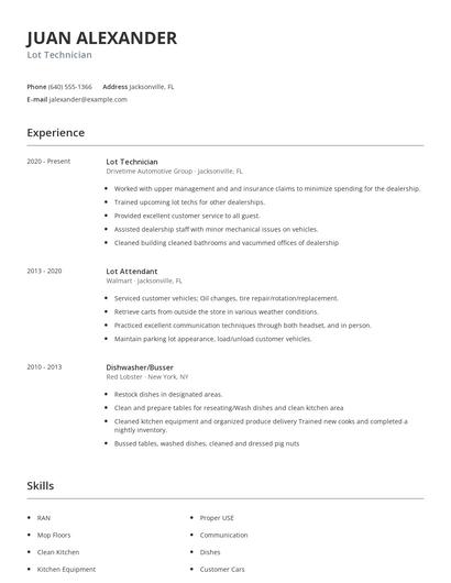 Lot Technician Resume