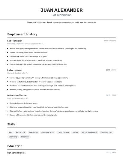 Lot Technician Resume