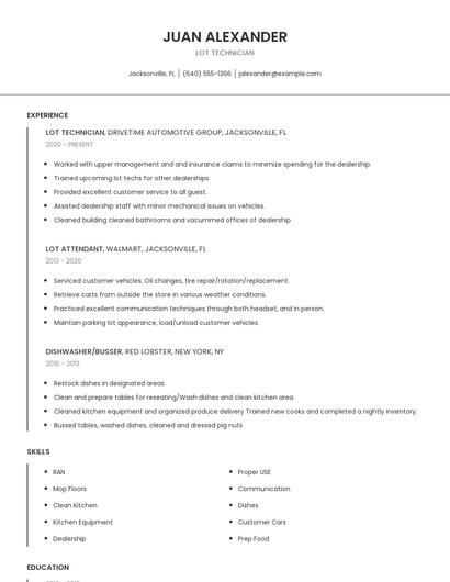 Lot Technician Resume