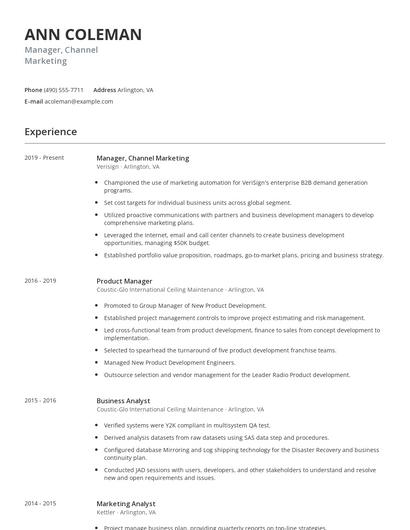 Manager, Channel Marketing Resume