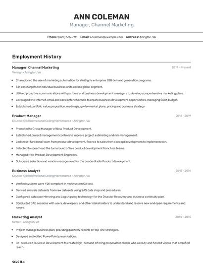 Manager, Channel Marketing Resume