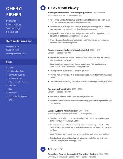 Manager Information Technology Specialist Resume