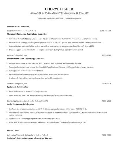 Manager Information Technology Specialist Resume