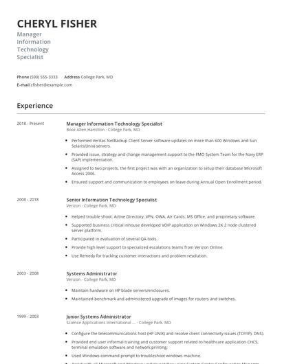 Manager Information Technology Specialist Resume