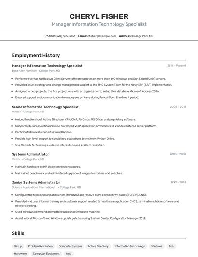 Manager Information Technology Specialist Resume