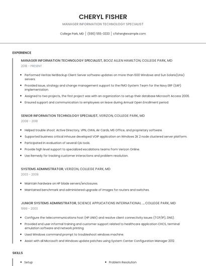 Manager Information Technology Specialist Resume