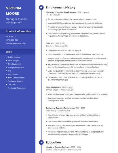 Manager, Process Development Resume