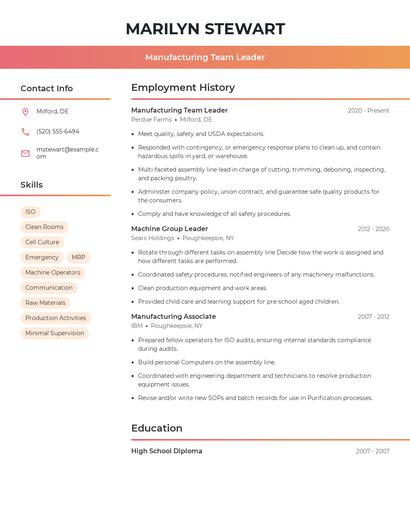Manufacturing Team Leader Resume