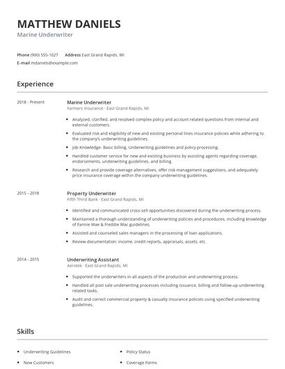 Marine Underwriter Resume