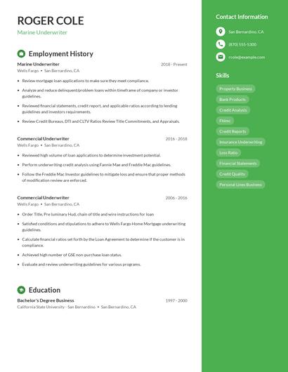 Marine Underwriter Resume