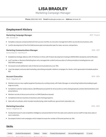 Marketing Campaign Manager Resume