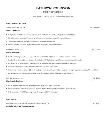 Media Developer Resume