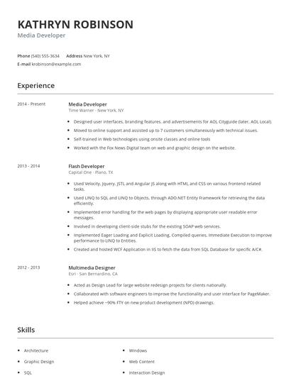 Media Developer Resume