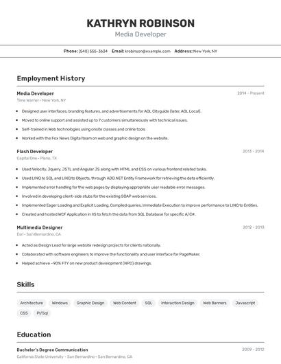 Media Developer Resume